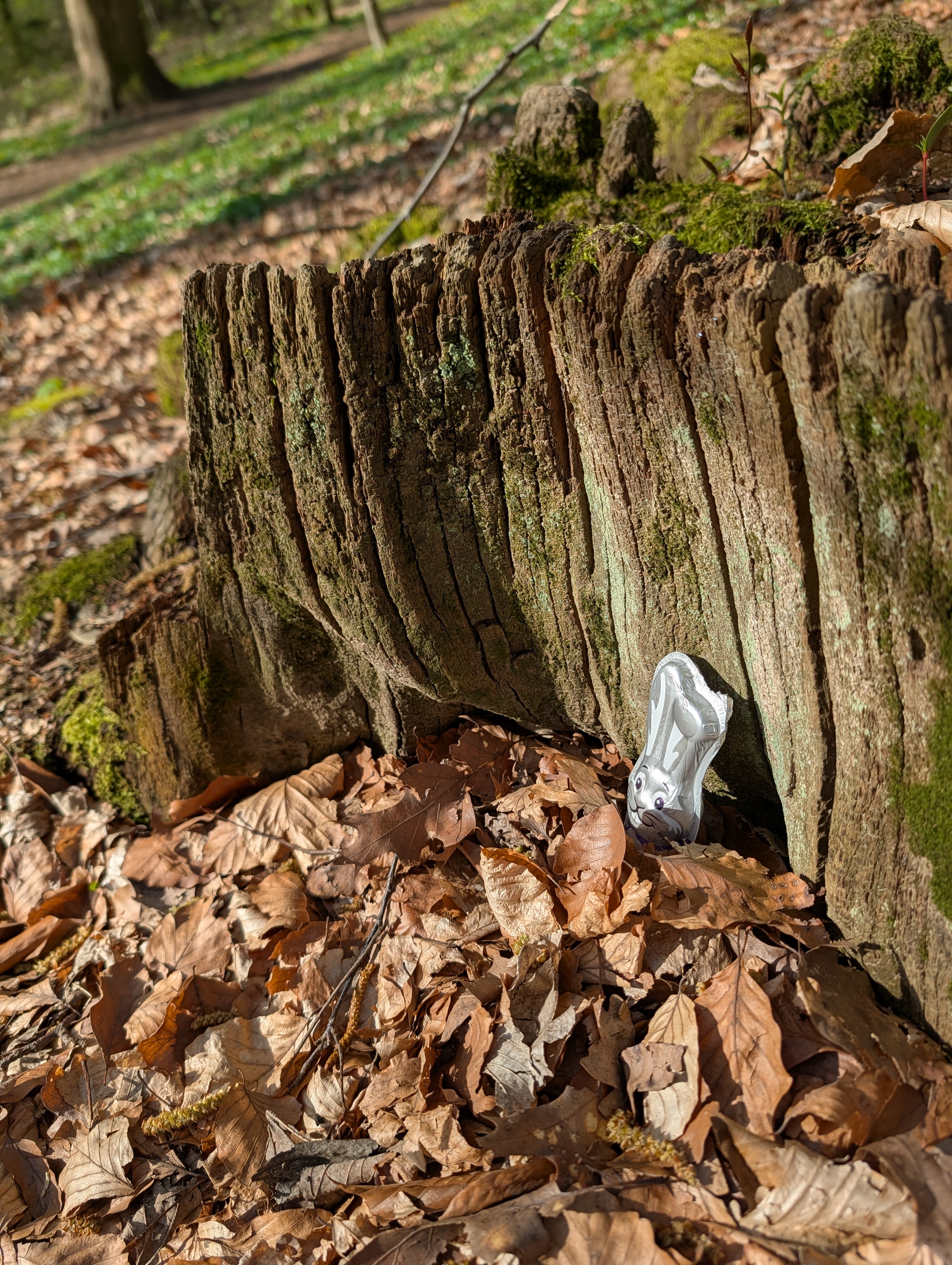 Ein gutes Versteck?